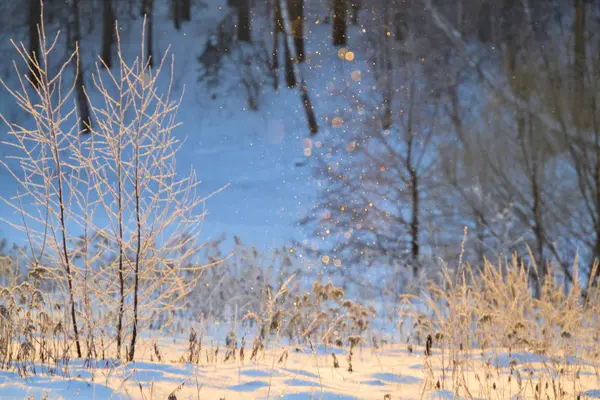 Fiaba invernale paesaggio soleggiato. Fiocchi di neve brillano al sole. Buon anno e buon Natale . — Foto Stock