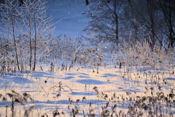 Pohádka o zimě slunná krajina. Sněhové vločky svítí ve slunci. Šťastný nový rok a veselé Vánoce. — Stock fotografie