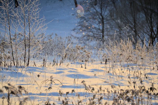 Bajki zima słoneczny krajobraz. Płatki śniegu świecą w słońcu. Szczęśliwego nowego roku i Wesołych Świąt. — Zdjęcie stockowe