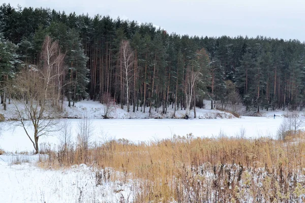 Winter landscape. Snowy winter field and frozen plants. Sunny day. Russia. — ストック写真
