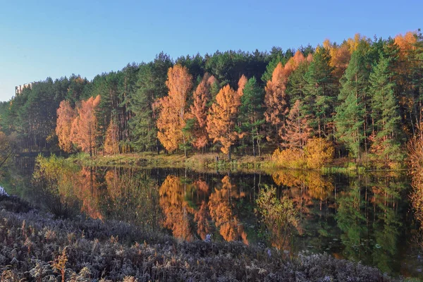 Herbstlandschaft mit bunten Wäldern. buntes Laub über dem See mit wunderschönen Wäldern in roten und gelben Farben. Herbstwald spiegelt sich im Wasser. — Stockfoto