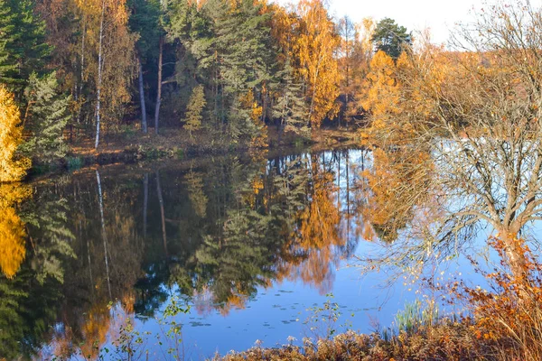 Осенний пейзаж с красочным лесом. Красочная листва над озером с красивыми лесами в красном и желтом цветах. Осенний лес отражается в воде . — стоковое фото