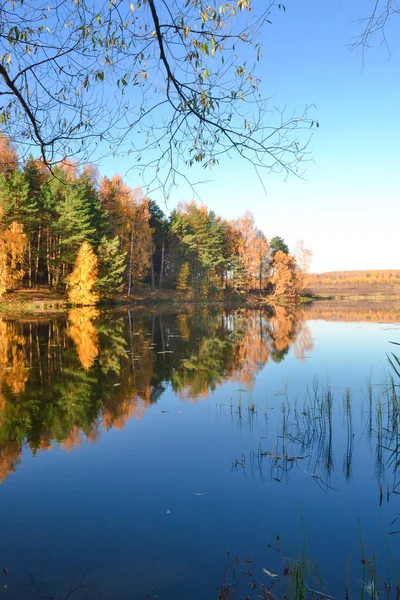 Herfst landschap met kleurrijk bos. Kleurrijk loof over het meer met prachtige bossen in rode en gele kleuren. Herfst bos wordt weerspiegeld in het water. — Stockfoto