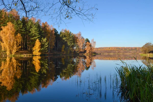 Paisaje otoñal con bosque colorido. Colorido follaje sobre el lago con hermosos bosques en colores rojo y amarillo. Bosque de otoño se refleja en el agua . —  Fotos de Stock