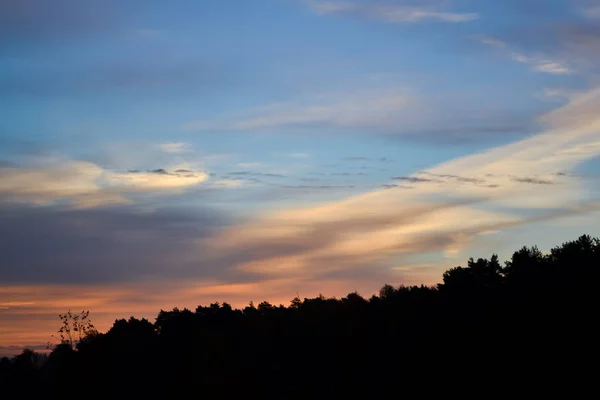 La silhouette della foresta contro il cielo del mattino — Foto Stock