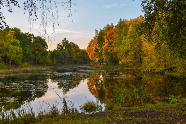 Piękny jesienny krajobraz. Jezioro, żółte i czerwone drzewa nad jeziorem. Odbicie w wodzie. Błękitne niebo. Słoneczny jesienny dzień — Zdjęcie stockowe
