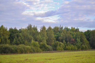 Bulutlarla gökyüzü. Tarla ve orman.