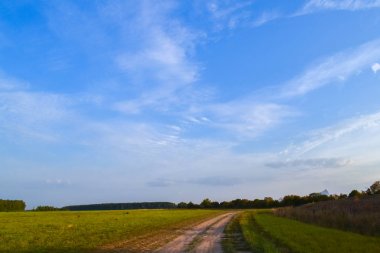 Yaz manzarası. Alan ve gökyüzü bulutlarla dolu. Rusya. Akşam