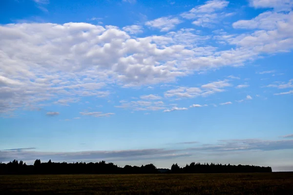 雲の多い空。フィールドとフォレスト. — ストック写真