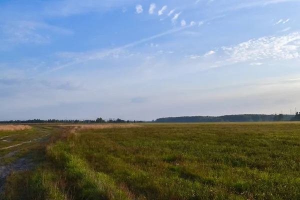 Summer landscape. Field and sky with clouds. Russia. Evening — Stock Photo, Image