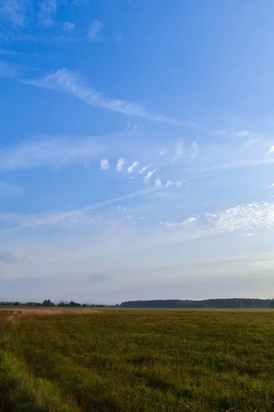 Καλοκαιρινό τοπίο. Χωράφι και ουρανός με σύννεφα. Ρωσία. Βράδυ — Φωτογραφία Αρχείου