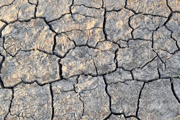 地面裂缝。干燥、脱水的土壤。干旱。生态灾难 图库图片