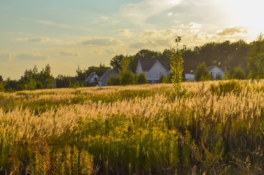 Gün batımında akşam kırsal manzara. Güzel degrade akşam gökyüzüne karşı köyün silueti. Sarı tonlarda akşam manzarası.