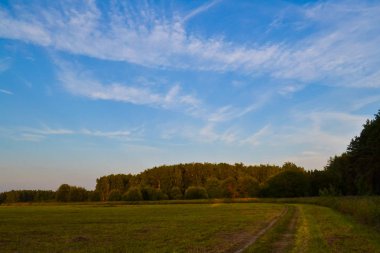 Yaz manzarası. Alan ve gökyüzü bulutlarla dolu. Rusya. Akşam