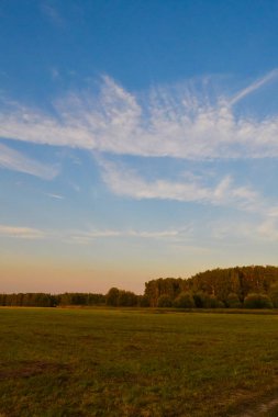 Yaz manzarası. Alan ve gökyüzü bulutlarla dolu. Rusya. Akşam