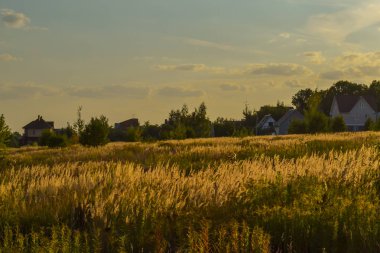 Kırsal manzara akşam günbatımında. Köy güzel degrade akşam gökyüzü karşı silüeti