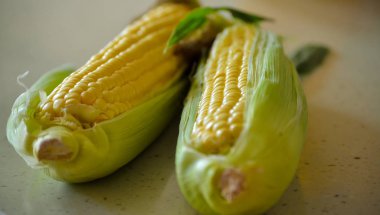 Masada koçanda taze mısır, yakın çekim
