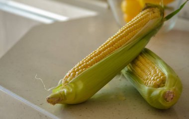 Masada koçanda taze mısır, yakın çekim