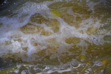 Ormandaki vahşi akıntı. Kaynar su. Suda çok baloncuk var. Çamurlu su. Eriyen su