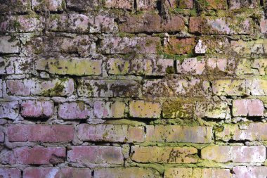 Yeşil yosun veya liken ile bir tuğla duvar arka plan eski doku. Çizgili eski bir duvar. Renkli. Kırmızı ve yeşil renk.