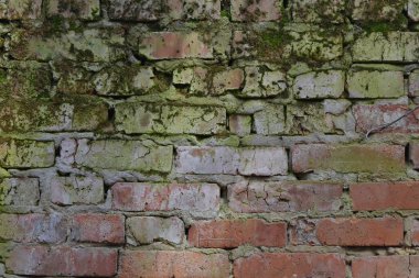 Yeşil yosun veya liken ile bir tuğla duvar arka plan eski doku. Çizgili eski bir duvar. Renkli. Kırmızı ve yeşil renk.