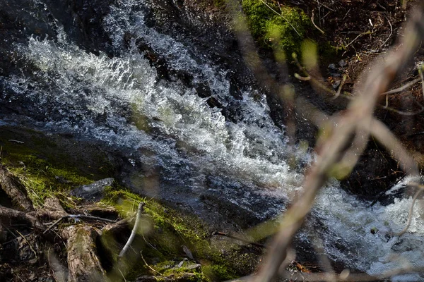 Vilda vilda flöden i skogen. Kokande ström. Skogsnatur. — Stockfoto