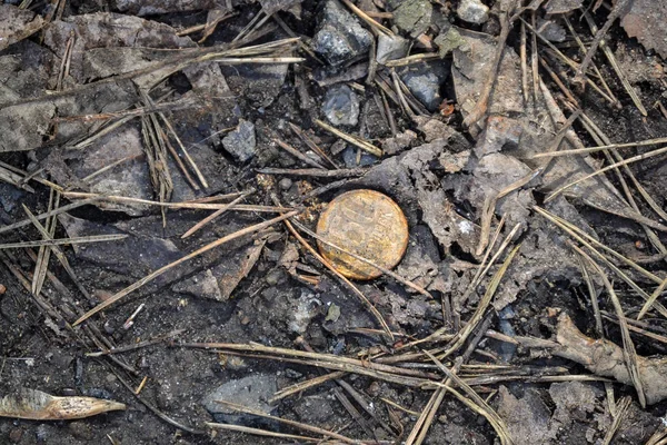 Pièce perdue au sol dans la forêt sur le sentier. La vieille pièce perdue — Photo