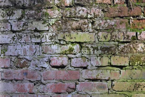 Yeşil yosun veya liken ile bir tuğla duvar arka plan eski doku. Çizgili eski bir duvar. Renkli. Kırmızı ve yeşil renk.