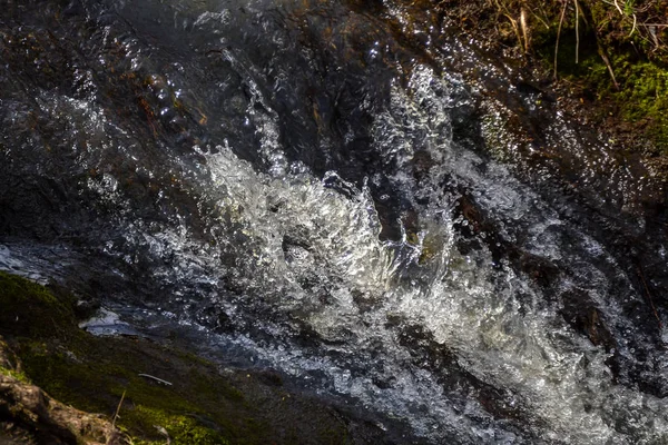 Vilda vilda flöden i skogen. Kokande ström. Skogsnatur. — Stockfoto