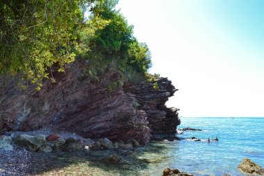 Kayanın üzerinde bir ağaç. Kayanın dokusu. Büyük kayalar denize yakın uçurumdan dökülür