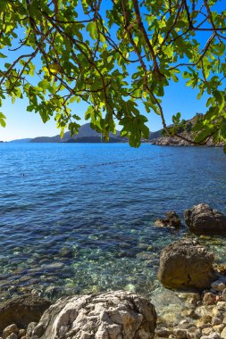 Güzel deniz manzarası. Mavi gökyüzü ve turkuaz su. Çerçeve Adriyatik Denizi üstüne ağaç dalları. Karadağ.