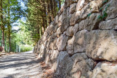 Çam ormanında, sert taşlardan oluşan bir patika. Karadağ