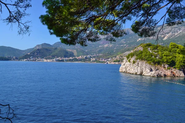 Denizin güzel manzarası. Ağaçların arasından en iyi manzara. Adriyatik Denizi. Karadağ.