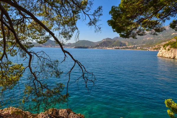 Nice view of the sea. Top view through the trees. Adriatic Sea. Montenegro. — Stock Photo, Image