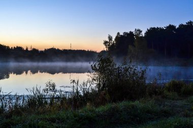 Sabah ın erken saatlerinde. Orman gölünün yanında sazlık siluetleri. Su üzerinde sis.