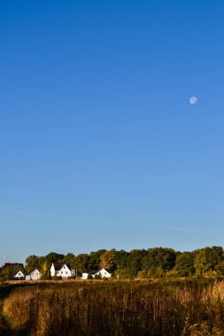 Sabah ın erken saatlerinde. Ormanın yakınındaki köy. Gökyüzündeki ay. Dikey fotoğraf