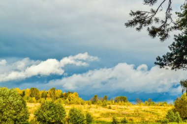 Parlak sarı çimenler ile alan üzerinde Thunderclouds. Fırtına yaklaşıyor..