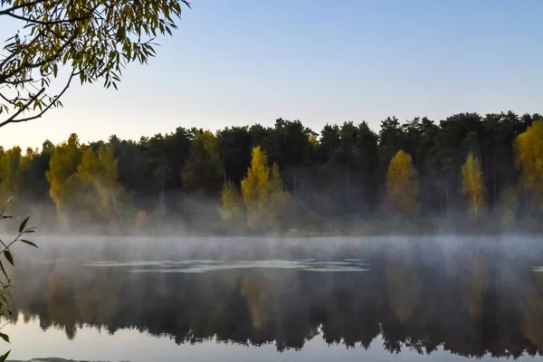 Las znajduje odzwierciedlenie w spokojnej błękitnej wodzie lasu jeziora. Wczesnym rankiem. Mgła nad wodą. — Zdjęcie stockowe