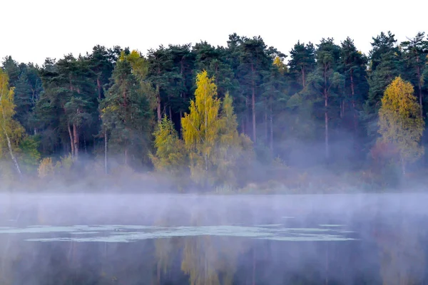 The forest is reflected in the calm blue water of the forest lake. Early morning. Fog over the water. — Stock Photo, Image