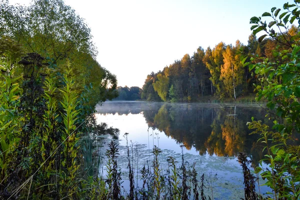 Spiegelt sich der Wald im ruhigen blauen Wasser des Waldsees. am frühen Morgen. Nebel über dem Wasser. — Stockfoto
