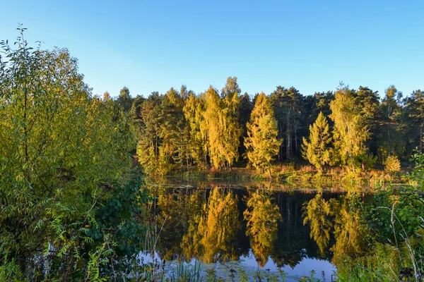 Der Herbstwald spiegelt sich im ruhigen blauen Wasser des Waldsees. frühmorgens. — Stockfoto