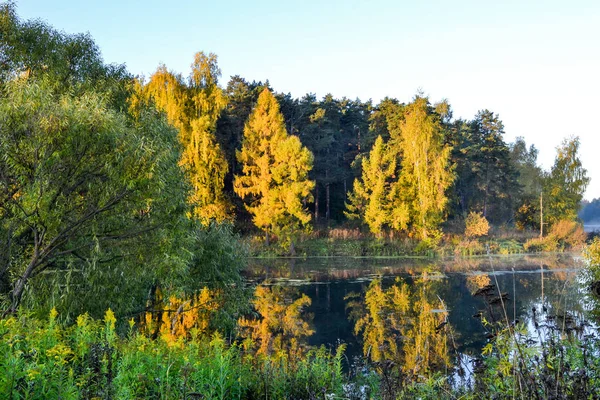 El bosque otoñal se refleja en las tranquilas aguas azules del lago del bosque. Temprano. . — Foto de Stock