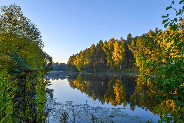 Der Herbstwald spiegelt sich im ruhigen blauen Wasser des Waldsees. frühmorgens. — Stockfoto