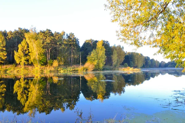 Осенний лес отражается в спокойной голубой воде лесного озера. Ранним утром . — стоковое фото