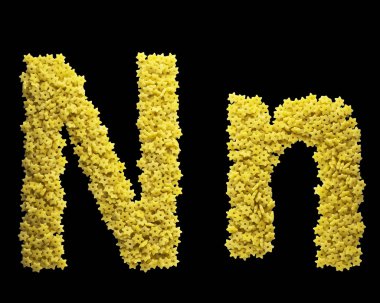 Alfabe, Davut Yıldızı şeklinde makarnadan yapılmış. 