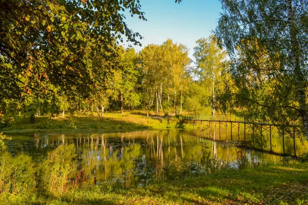 Jesienny krajobraz w odcieniach żółci. Leśne jezioro i most. Rosja. Region Moskiewski — Zdjęcie stockowe