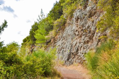 Dağlarda yaya yolu. Genç yeşiller ve parçalanan taşlar