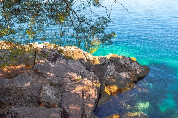 Sea view from the mountain. The tree grows near the water. Adriatic Sea. — Stock Photo, Image