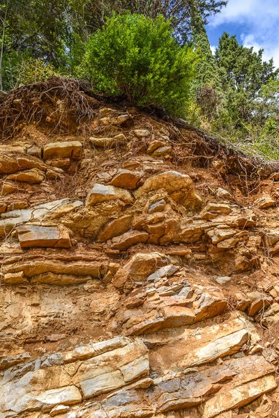 Texture of the rock. Large rocks exfoliate from the rock. The roots of the tree hang down