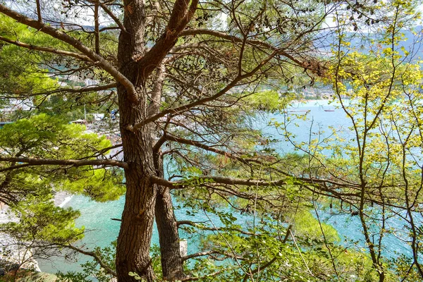 Sea view of turquoise color from the mountain, Montenegro. The Budva Riviera. Becici